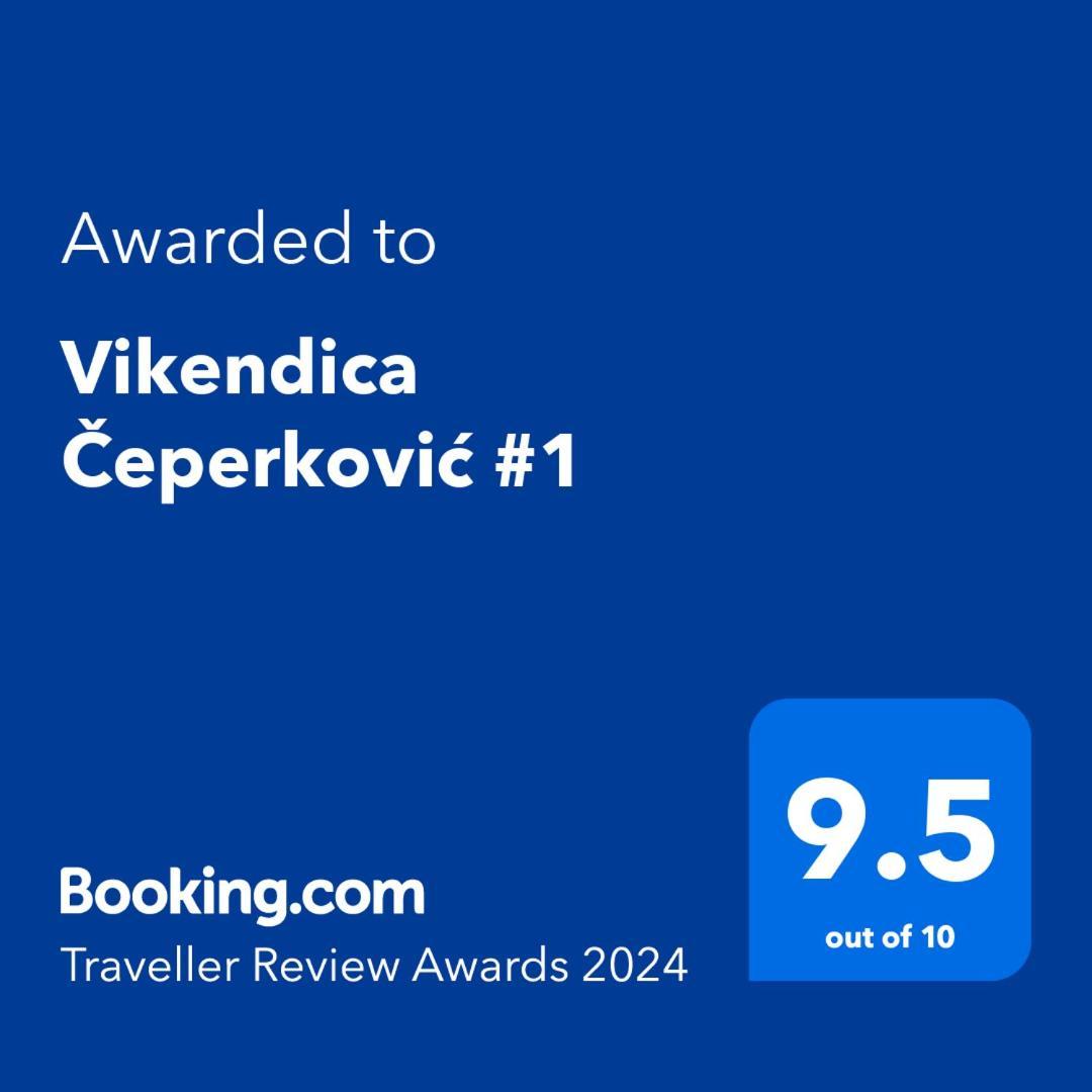 Vikendica Ceperkovic #1 Βίλα Κοπαόνικ Εξωτερικό φωτογραφία